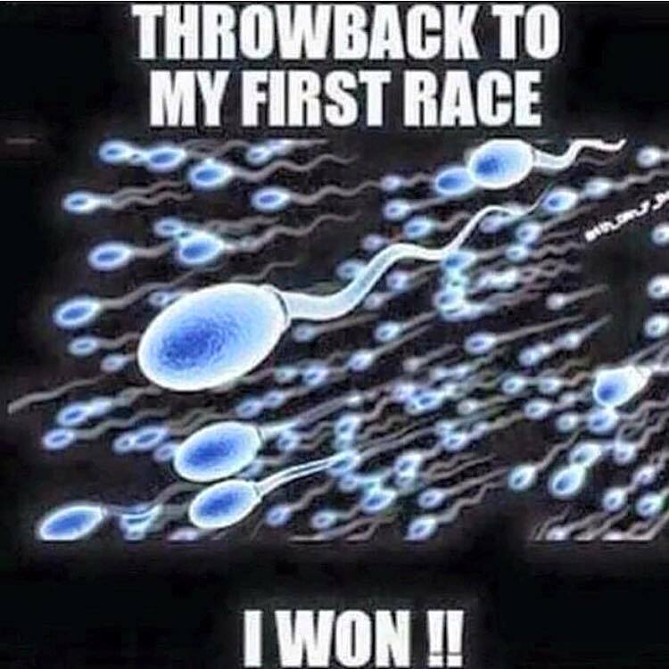 Wait! I can explain everything!: I am the Walrus decoded