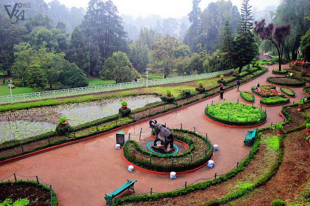 Ooty Botanical Garden - Upper gardens