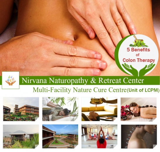 naturopathy centre in india