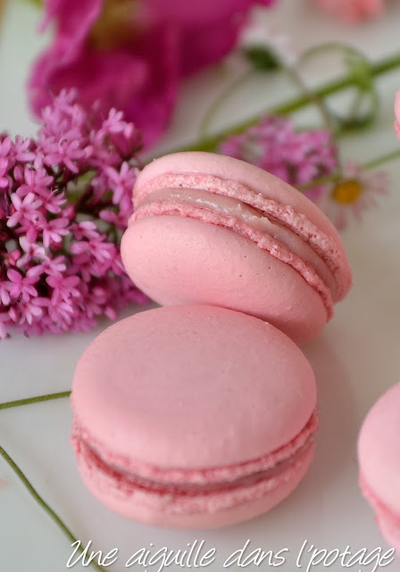 Macarons à la fraise de Christophe Felder