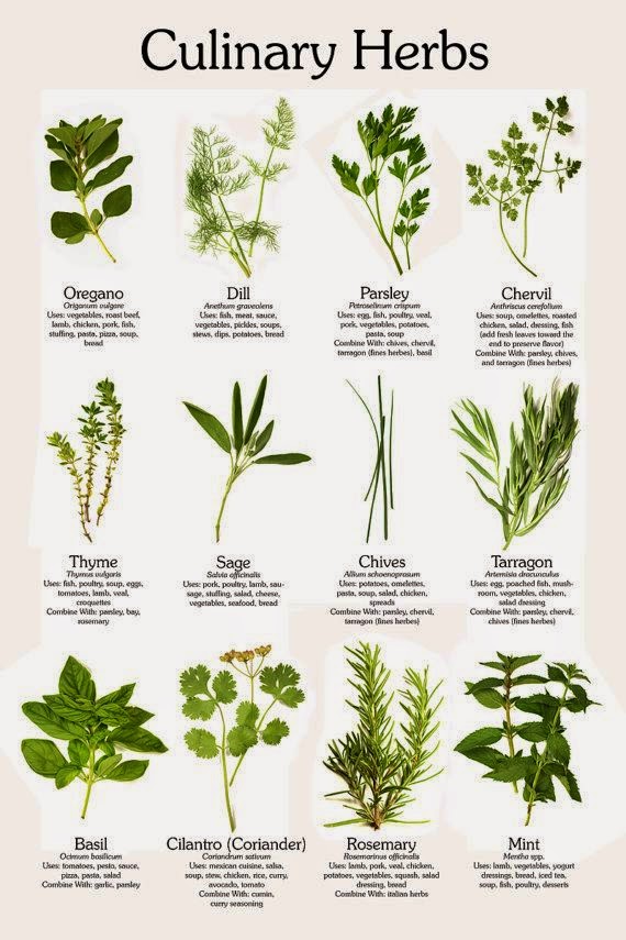 I LOVE TEACHING & I LOVE LEARNING HERBS & SPICES