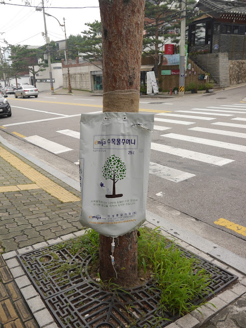 2015,summer 於是我就在韓國了 Day4