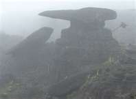 Explore Majestic Mount Roraima