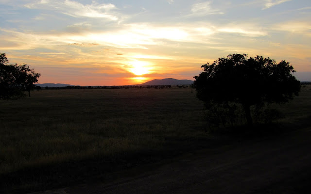 Puesta de sol en Cabañeros Serengueti español