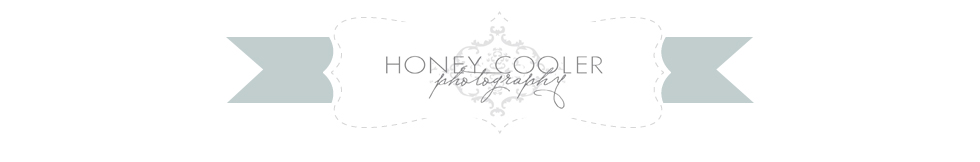 Honey Cooler Photography