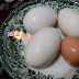 Telur Angsa Di Kampung