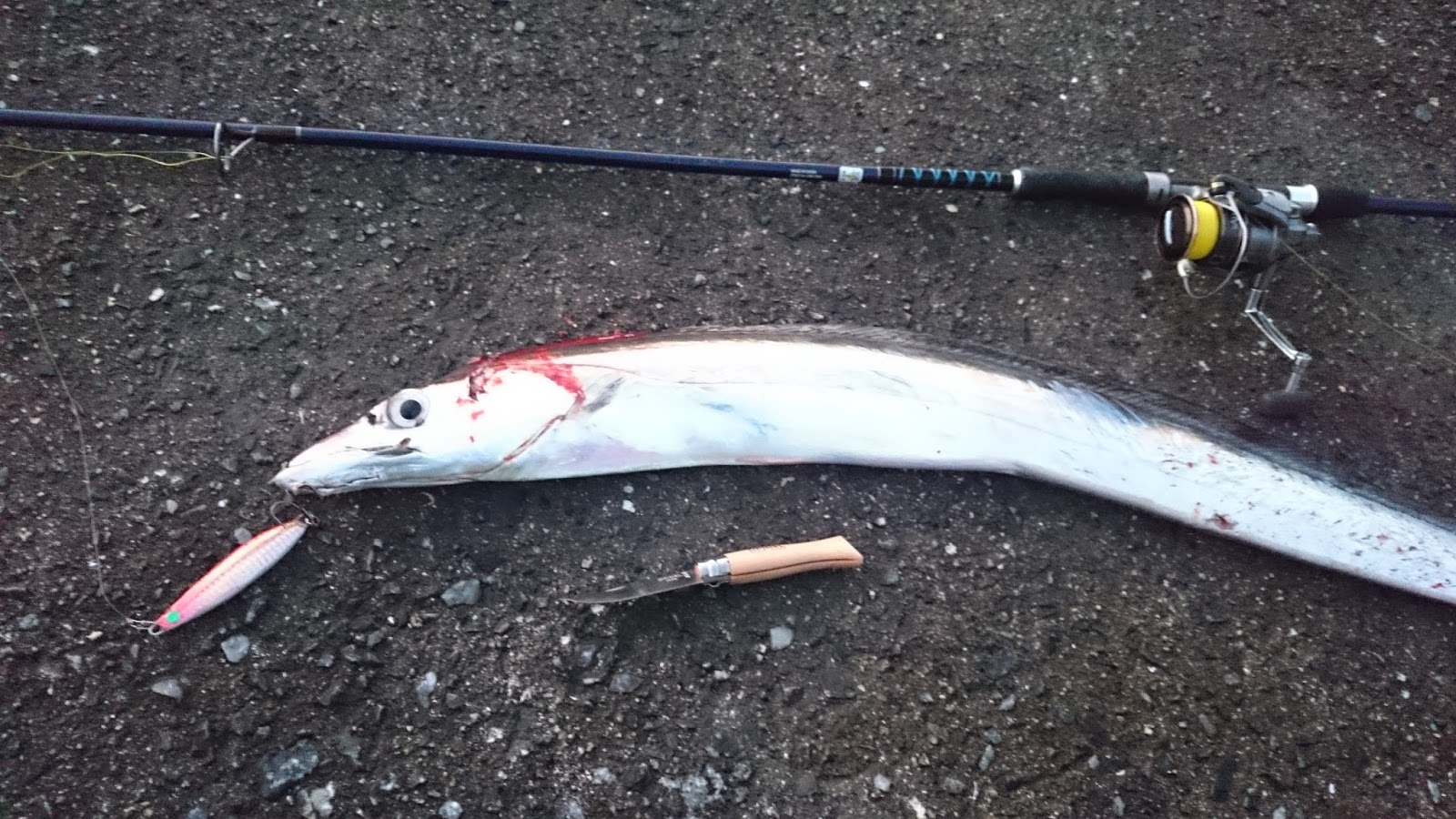 1月 17 Carl S Lure Craft Fun Fishing