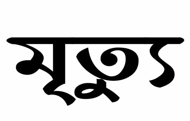 বালিয়াকান্দিতে ট্রেনের ধাক্কায় গৃহবধুর মৃত্যু