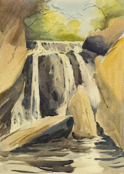 webb david watercolour class paignton beginners