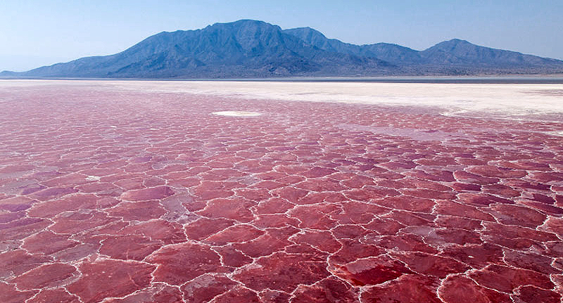 natron salt flats natron salt flats