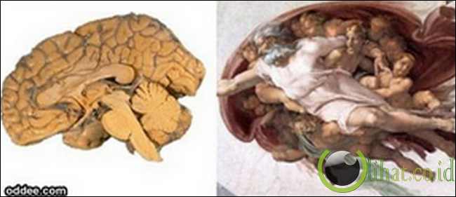 Otak Melayang dalam "The Creation of Adam"