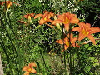 Elegant Blessings: June 2012