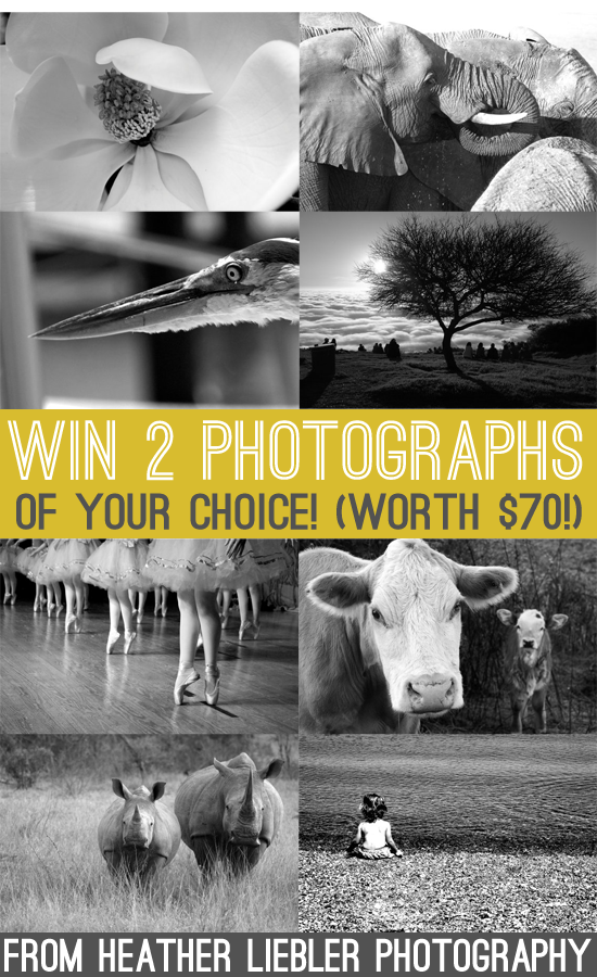 win two photographs worth $70!