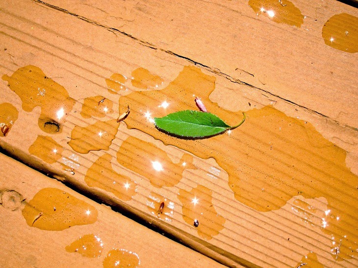 a single leaf in rain's remains