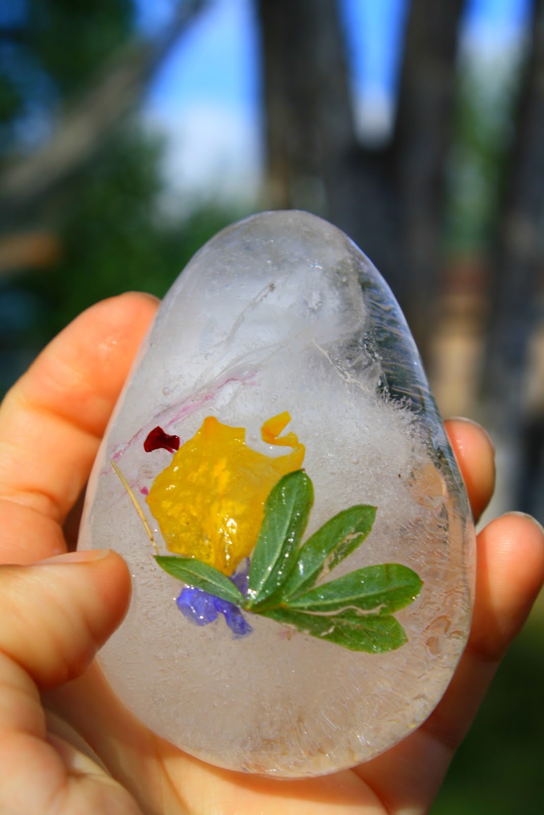 Olives and Pickles Flower Ice Ballons