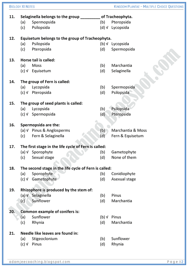 kingdom-plantae-mcqs-biology-11th