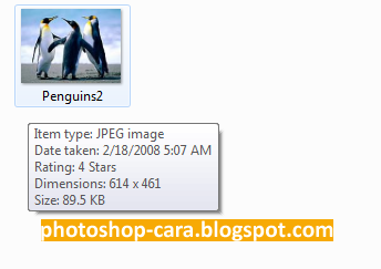 Cara Memperkecil Ukuran Foto dengan Photoshop Cara Memperkecil Ukuran Foto dengan Photoshop
