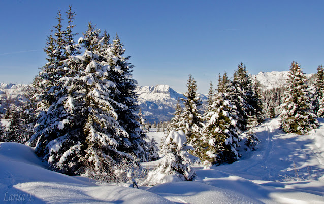 Prarion Les Houches Mont Blanc