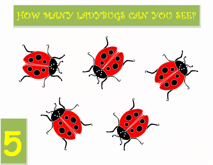 A Place For Kindergarteners Learn to count ladybugs