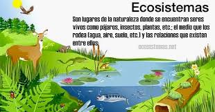 ecosistema