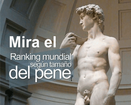 longitud media del pene en el mundo