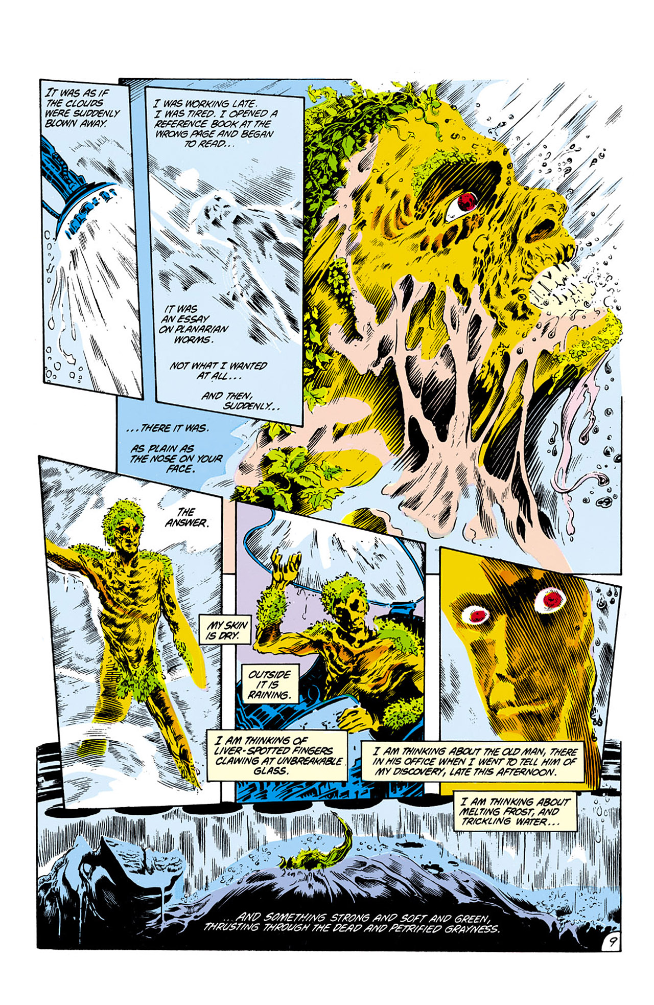 Swamp Thing (1982) Issue #21 #29 - English 10