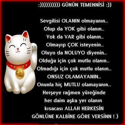 Yasatilan Sozler Allah Herkesin Gonlune Gore Versin Resimli Temenni Mesaji