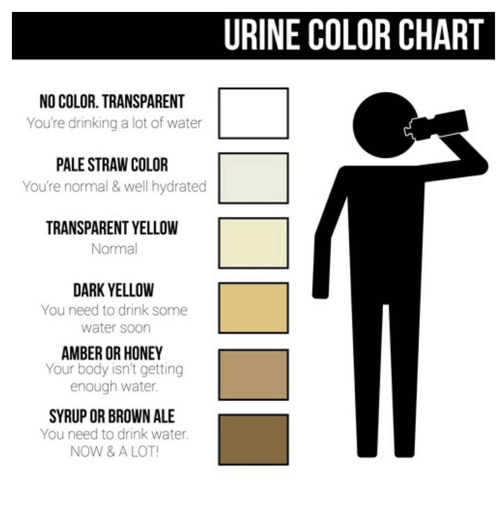 Can Coffee Cause Dark Stool Can Coffee Cause Dark Stool