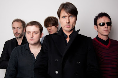 Suede Band Picture