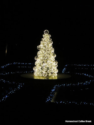 floating Christmas tree - Christmas Lights  - A Longwood Gardens PhotoJournal - Part Two on Homeschool Coffee Break @ kympossibleblog.blogspot.com