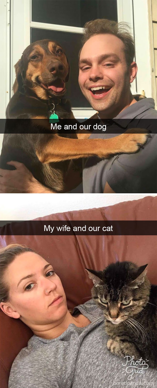 These Are The 30 Funniest Dog Snapchats We Have Ever Seen