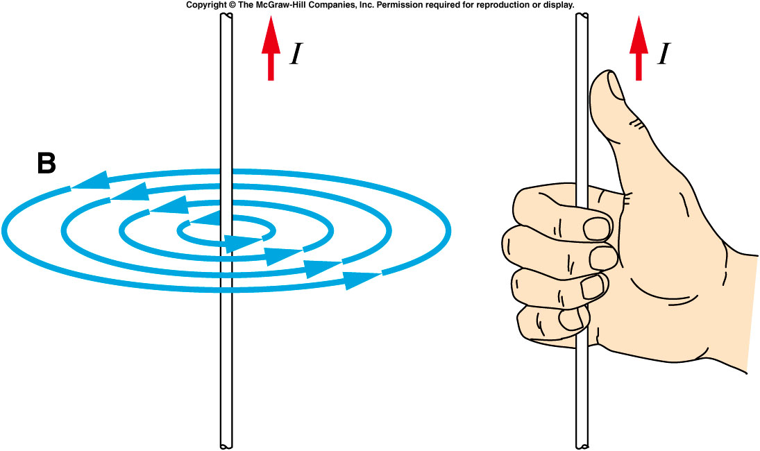 The Electrical Portal induction