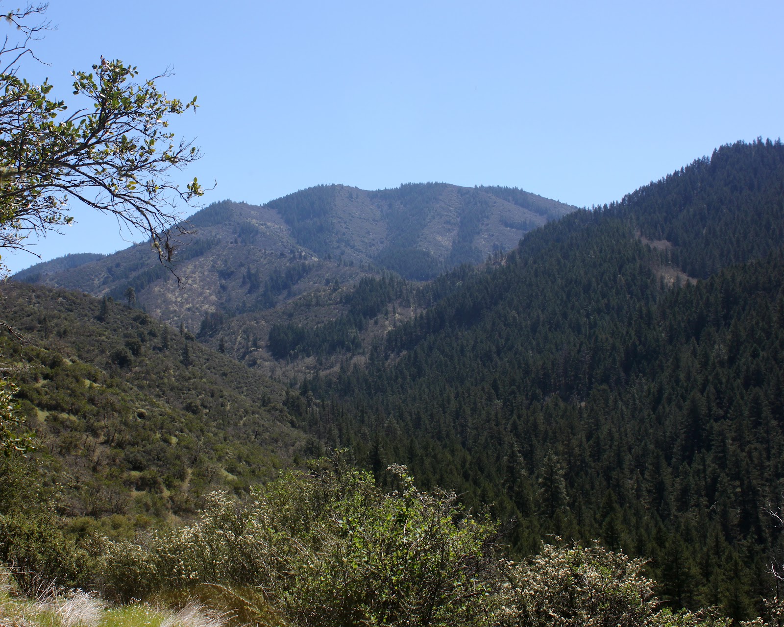Richard Hikes Mule Creek