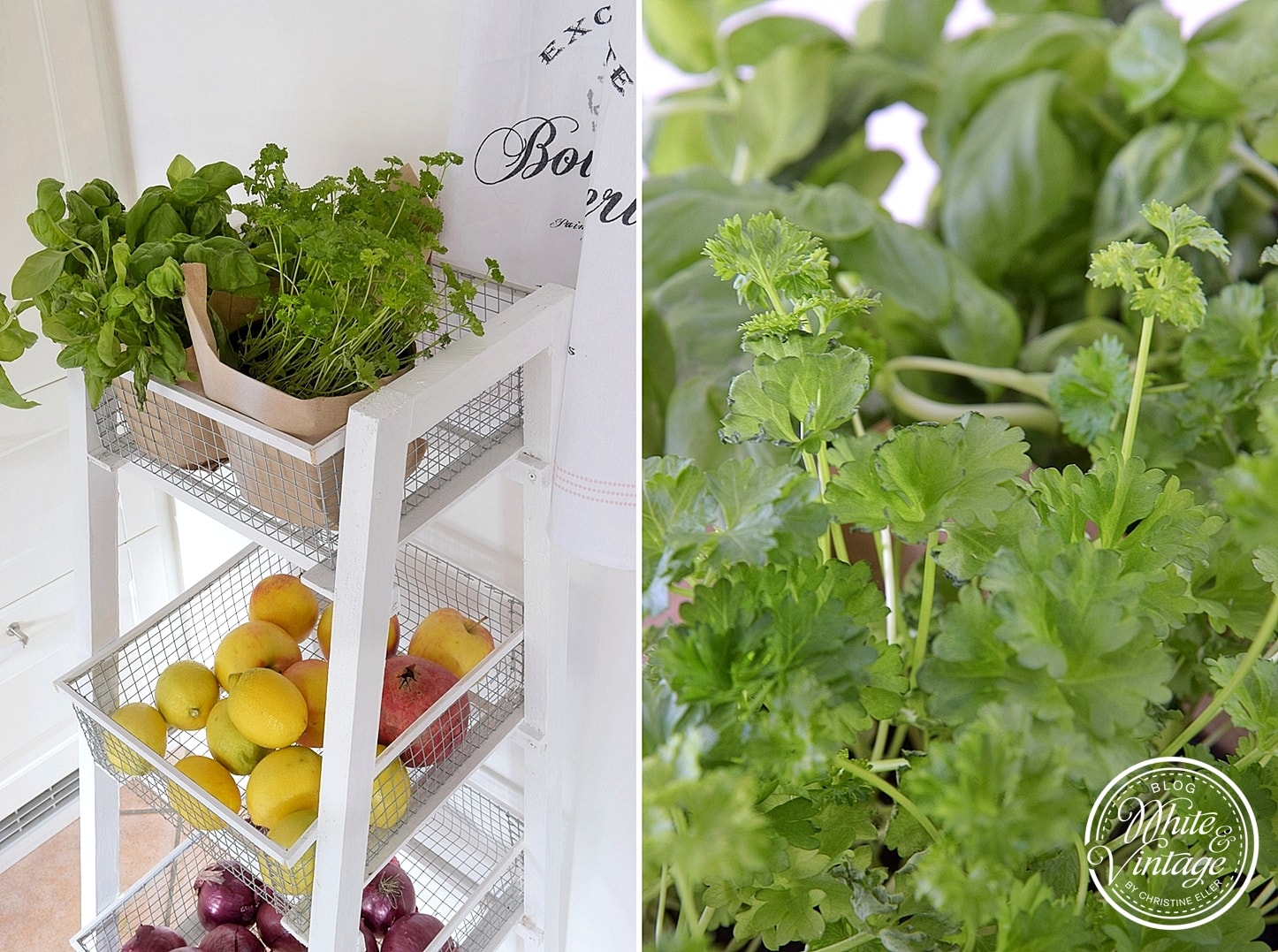 Küchenregal für Obst und Gemüse selber machen Schritt-für-Schritt-Anleitung