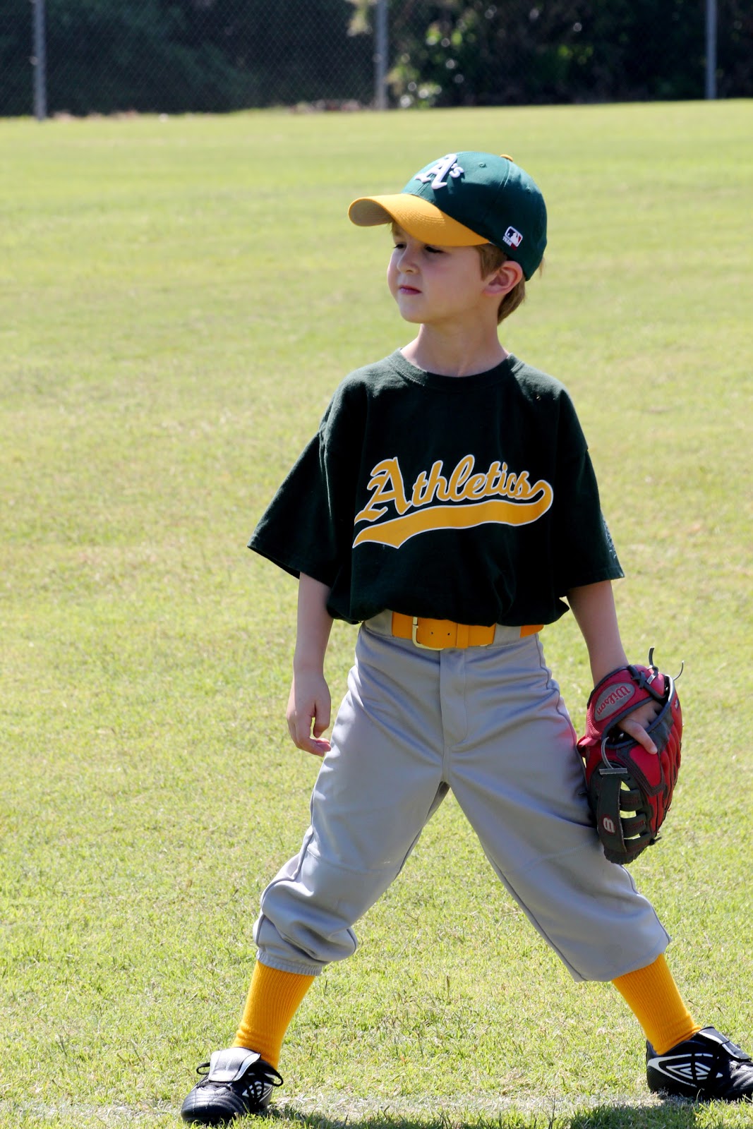 The Segrests Baseball 2011 (Coach Pitch)