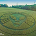 A Stunning New Crop Circle Has Shown Up & It’s Very Mysterious