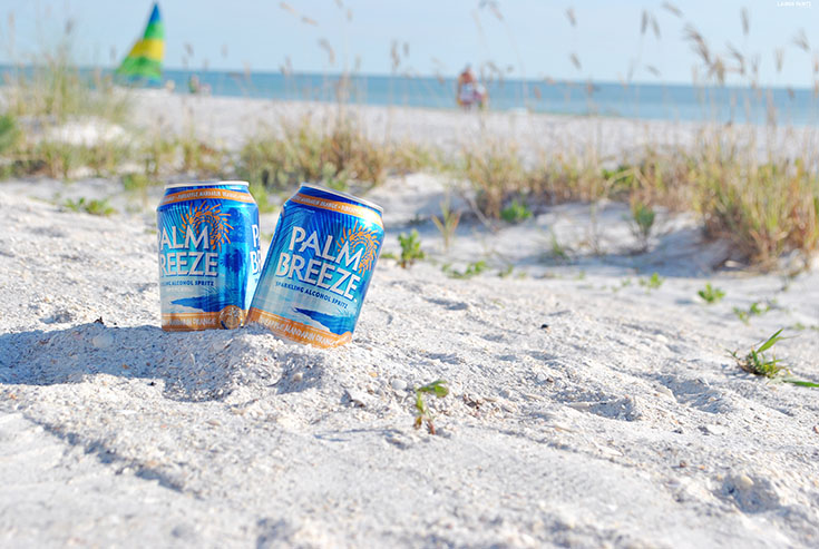 Make Everyday a Beach Day with Palm Breeze