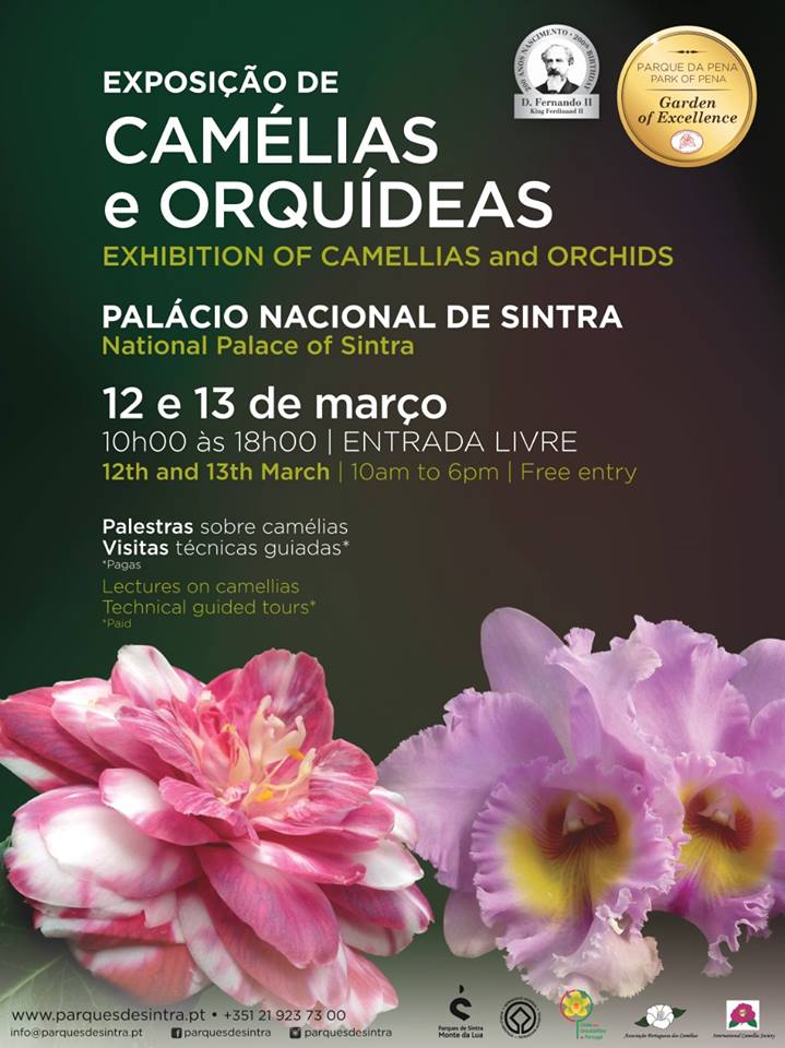 Um jardim para cuidar: Exposição de Camélias e Orquídeas em Sintra, no  próximo fim de semana !