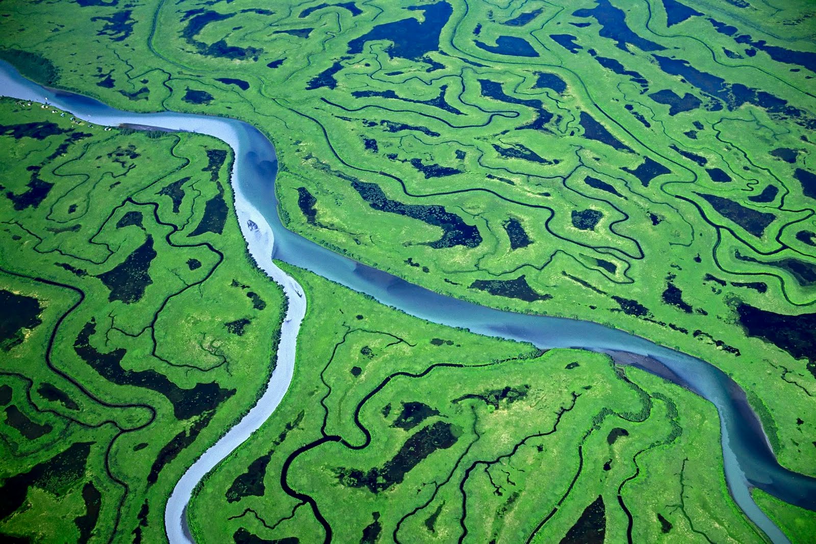 Река маккензи относится к бассейну тихого океана