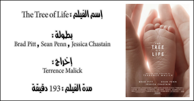 2011 Kmjrs Blog Here And There