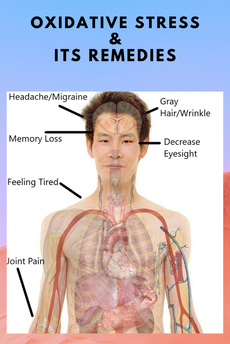Oxidative Stress and Its Remedies