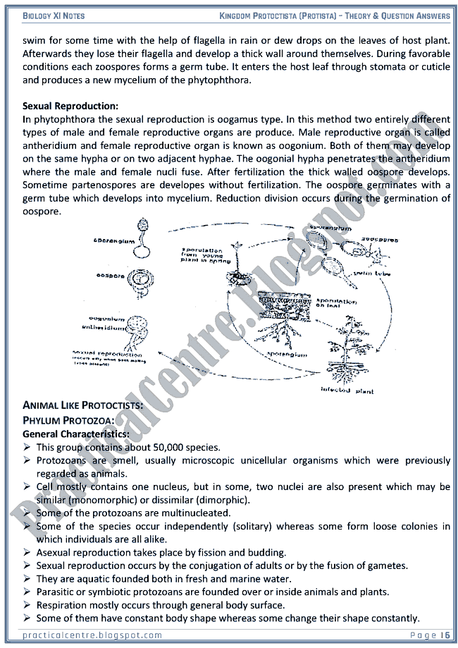 Kingdom Protista (Protoctista) - Theory And Questions Answers - Biology XI