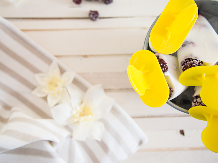 Polos de yogur y mora