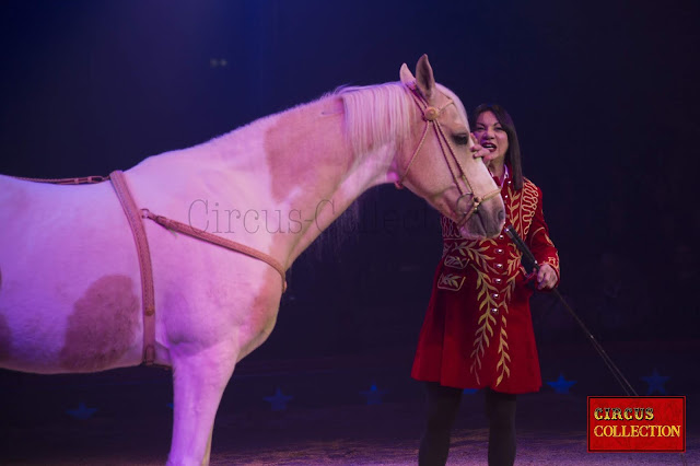 un câlins pour le cheval