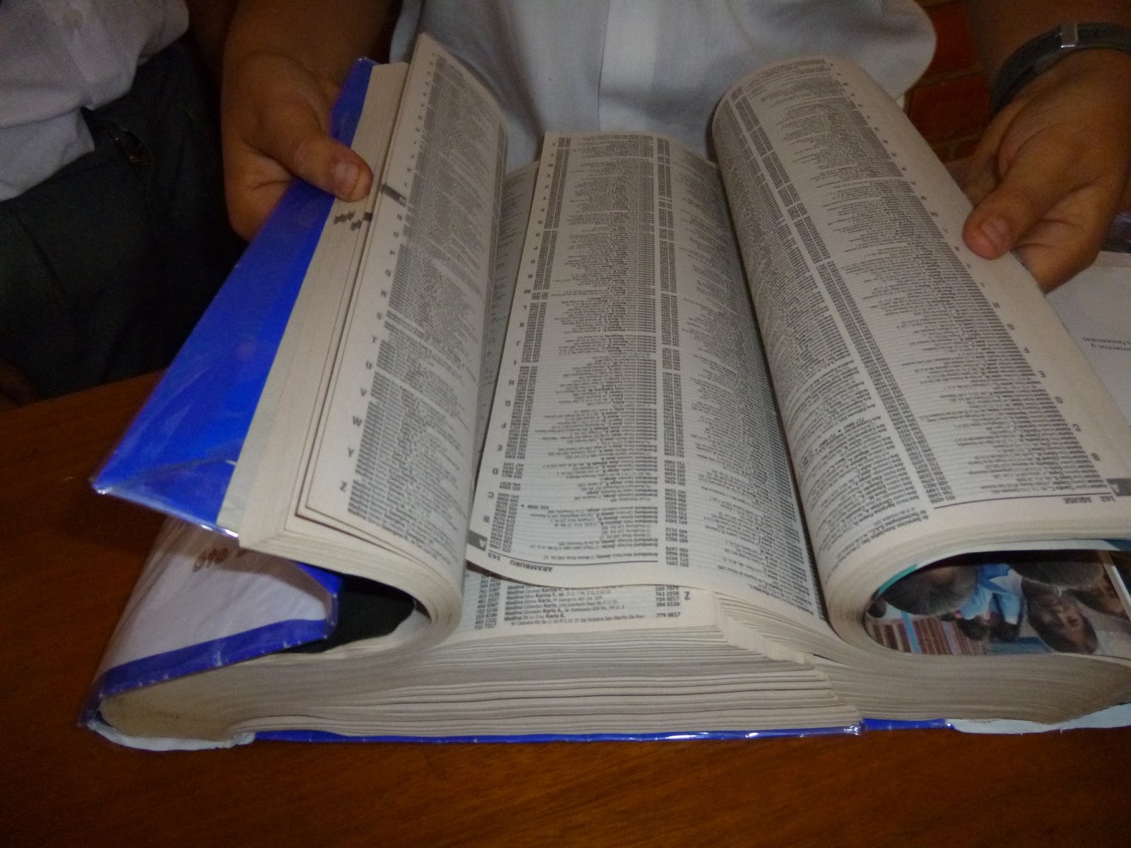 Proyectos De Ciencia Para Primaria 6 Grado