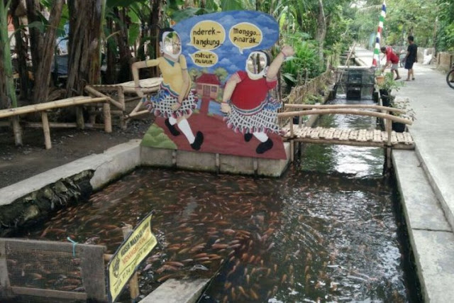 Warga Singosaren Bantul Sulap Selokan Jadi Kolam Ikan Lr Mphp Indonesian Research Institute For Fisheries Postharvest Mechanization