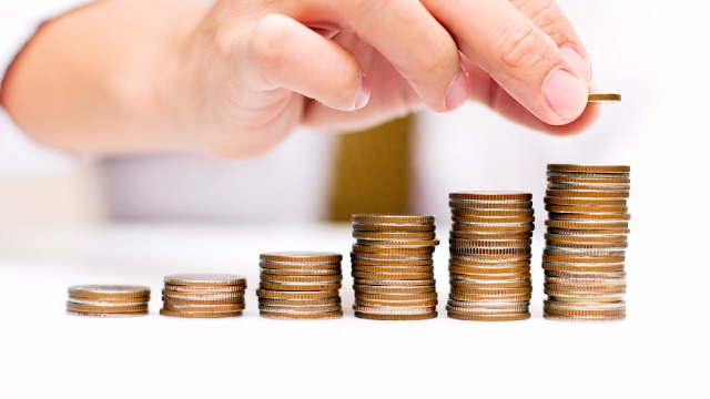 Franchise Fees and Expenses