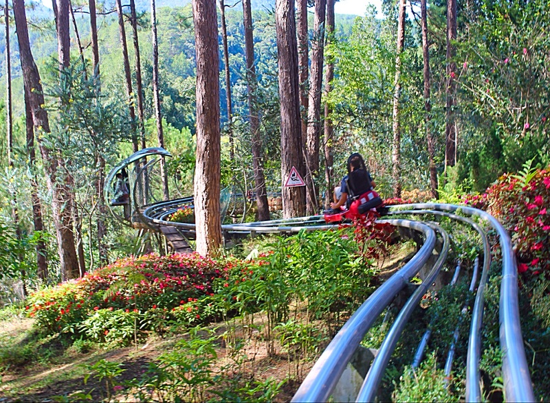 Top 10 things to do in Dalat city Top 10 things to do in Dalat city