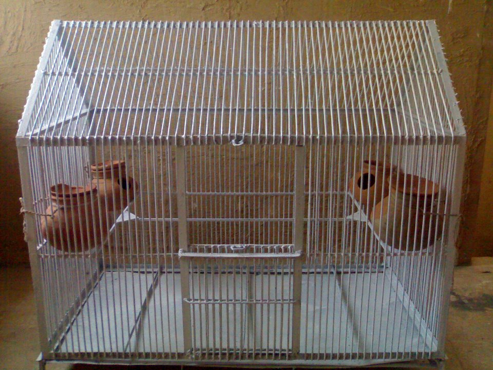 Strong Bird Cage For Sale in Rawalpindi Pets For Sale In Pakistan
