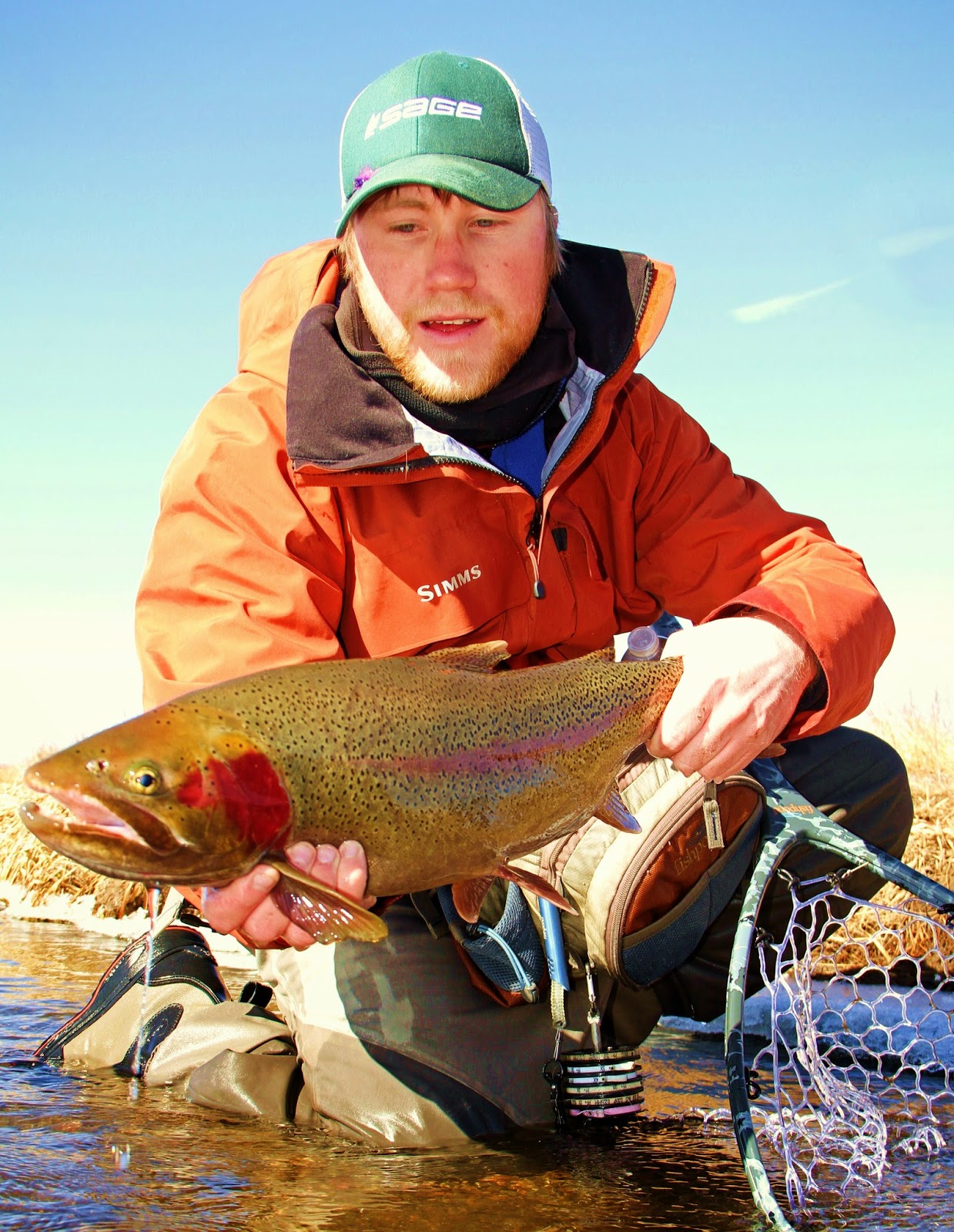 Addictive Angling Colorado Late Winter/Early Spring Fly Fishing in